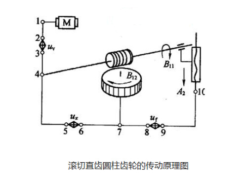 齒輪加工丨加工直齒圓柱齒輪的傳動原理